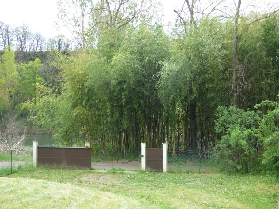 Gite O Fil Du Tarn Lescure-dʼAlbigeois Extérieur photo